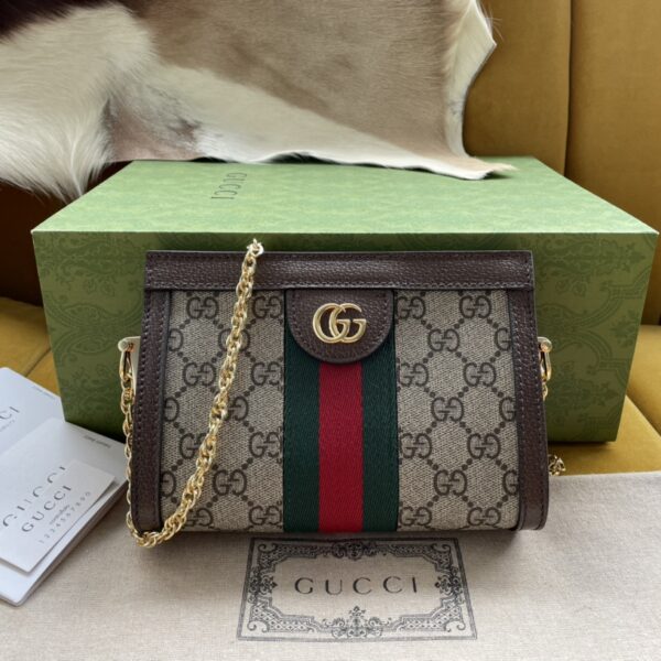 Gucci Bag Series