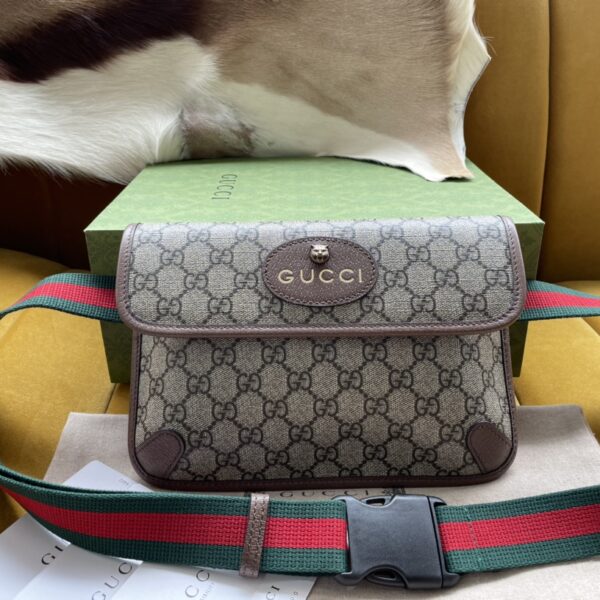 Gucci Bag Series